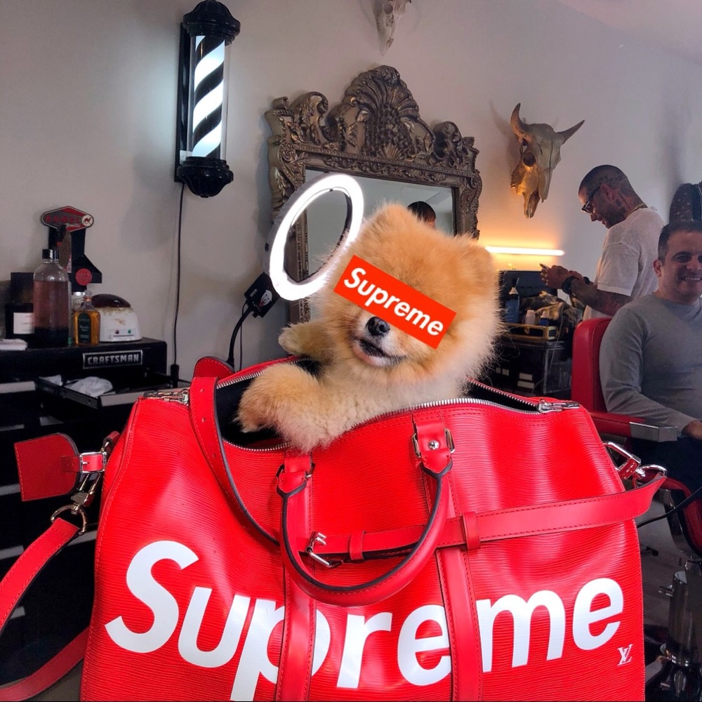 Meet your Posher, Yassi